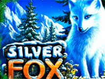 Silver Fox