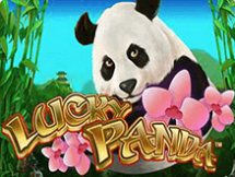 Lucky Panda